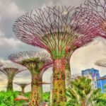 Air Bravo Singapore Office