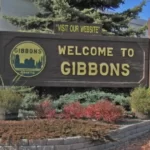 Gibbons