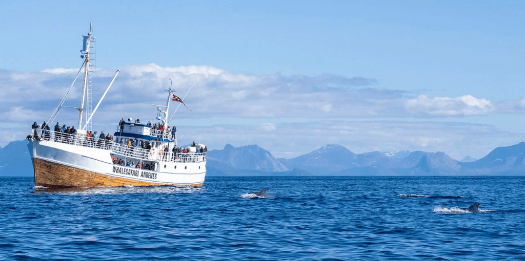 Sundt Airlines Andenes Office in Norway