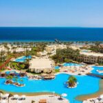 Windrose Airlines Sharm el Sheikh Office